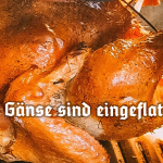 Gänsezeit im Schumacher